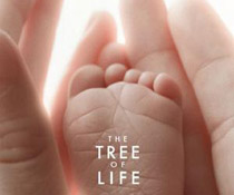 ���T�Ӱ����֮��(sh��)